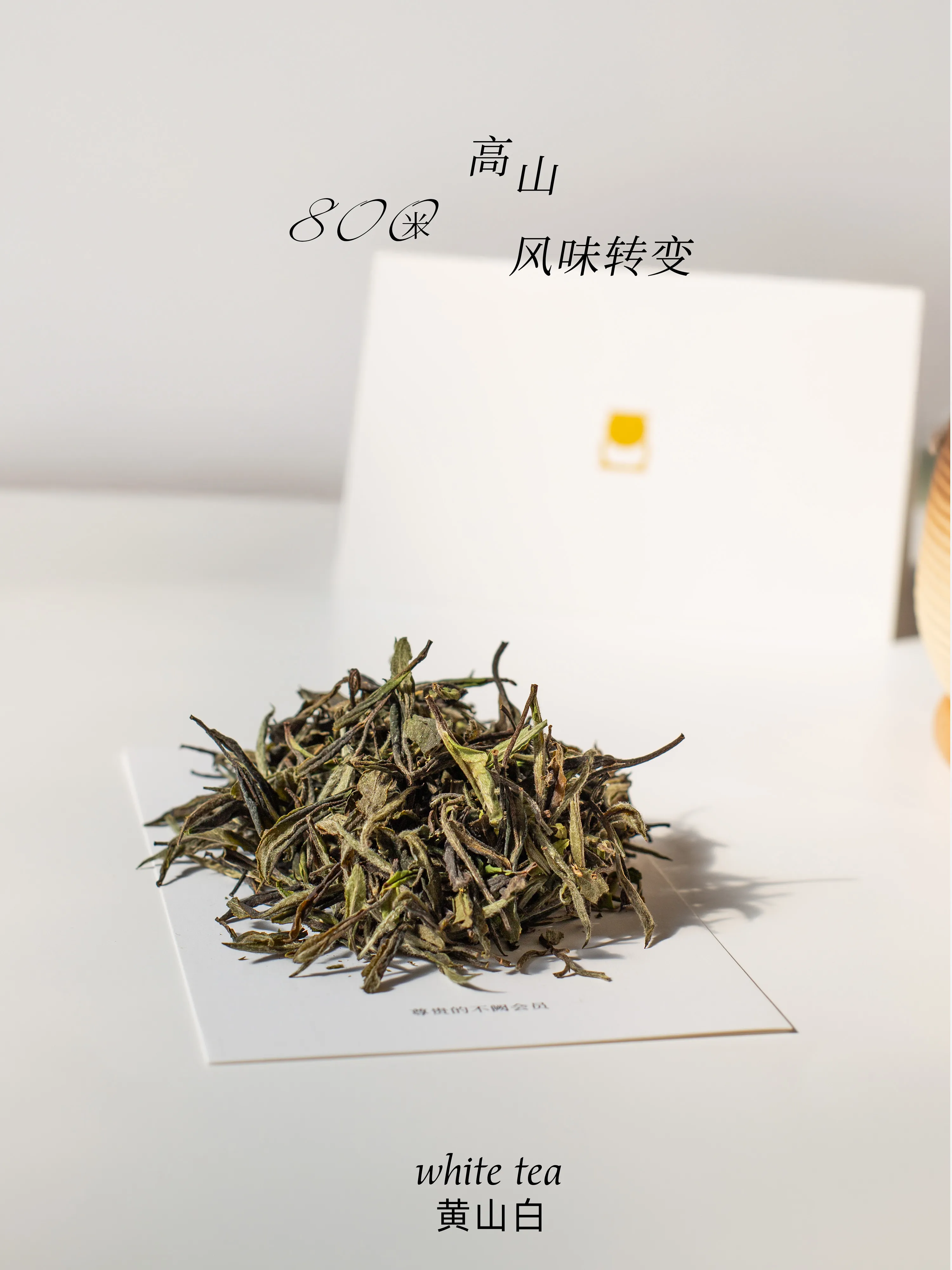 白牡丹 - 视图 2