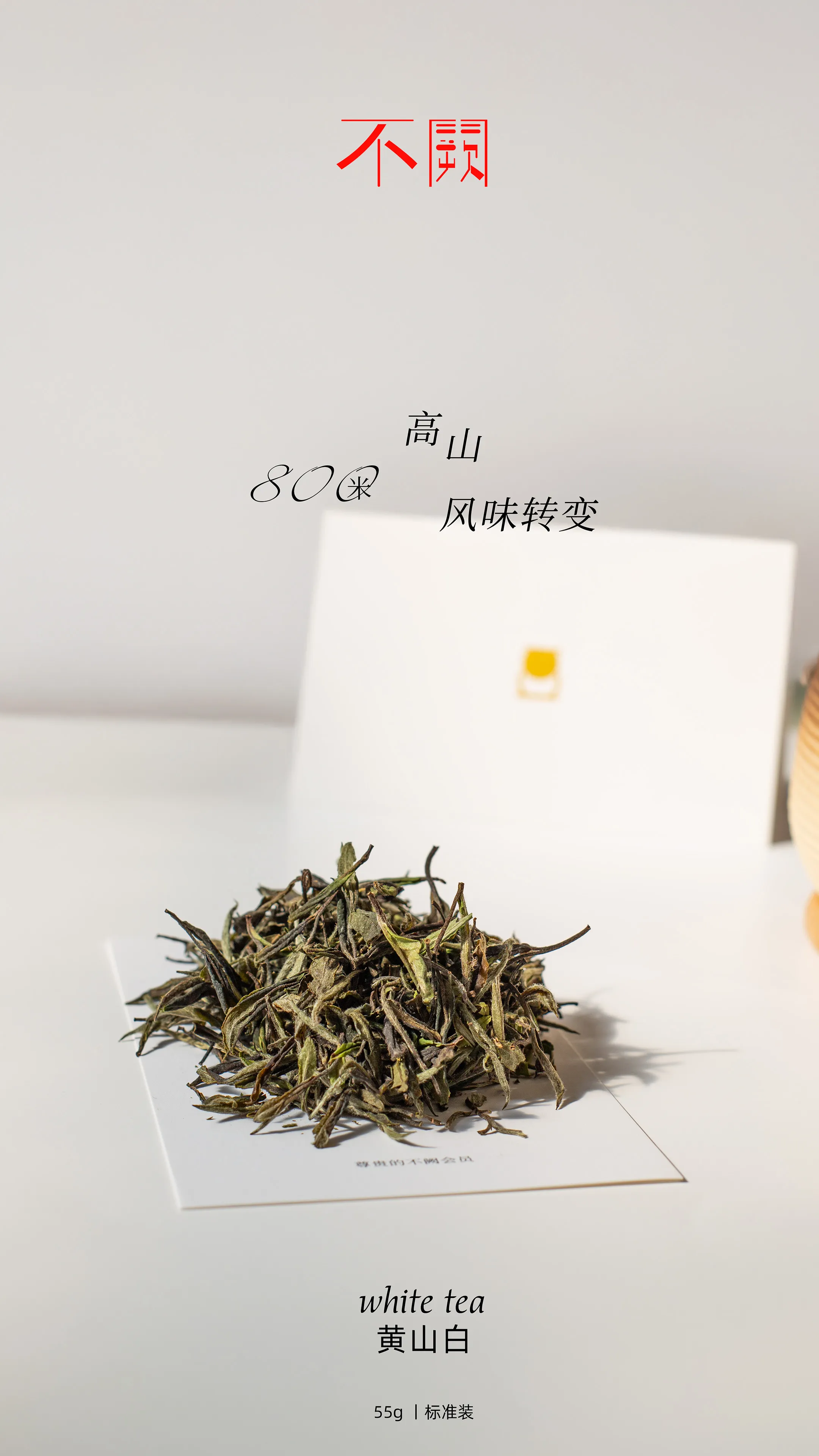 黄山白牡丹
