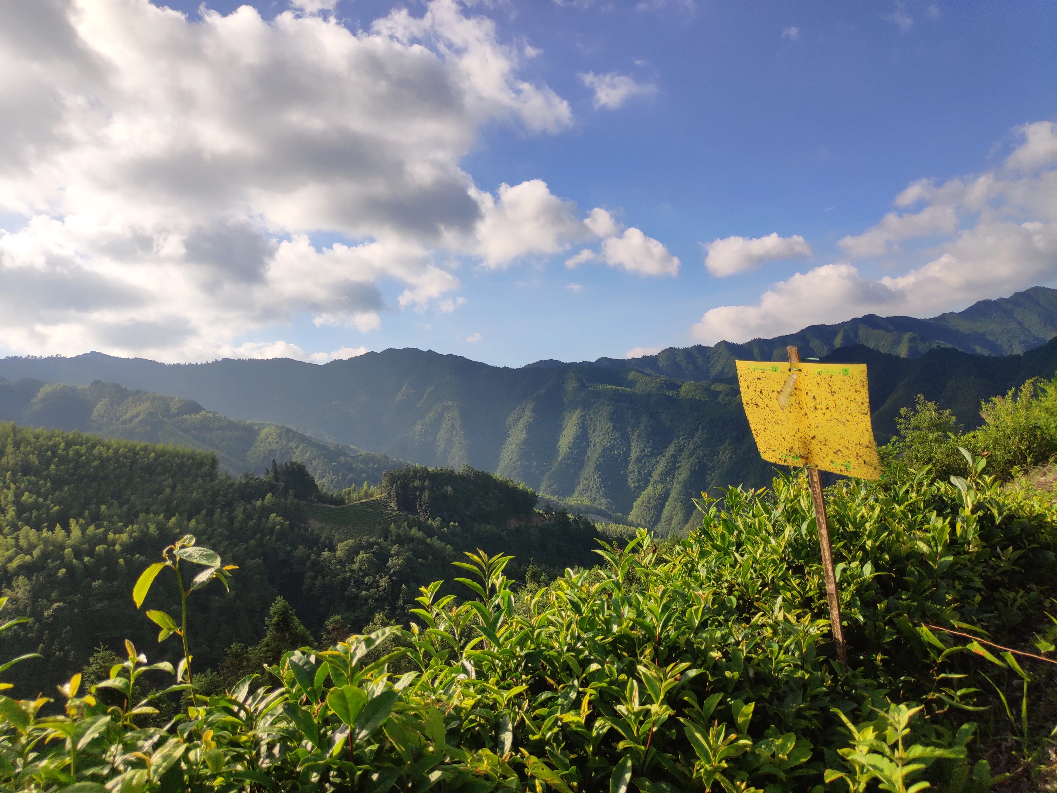 自然高山