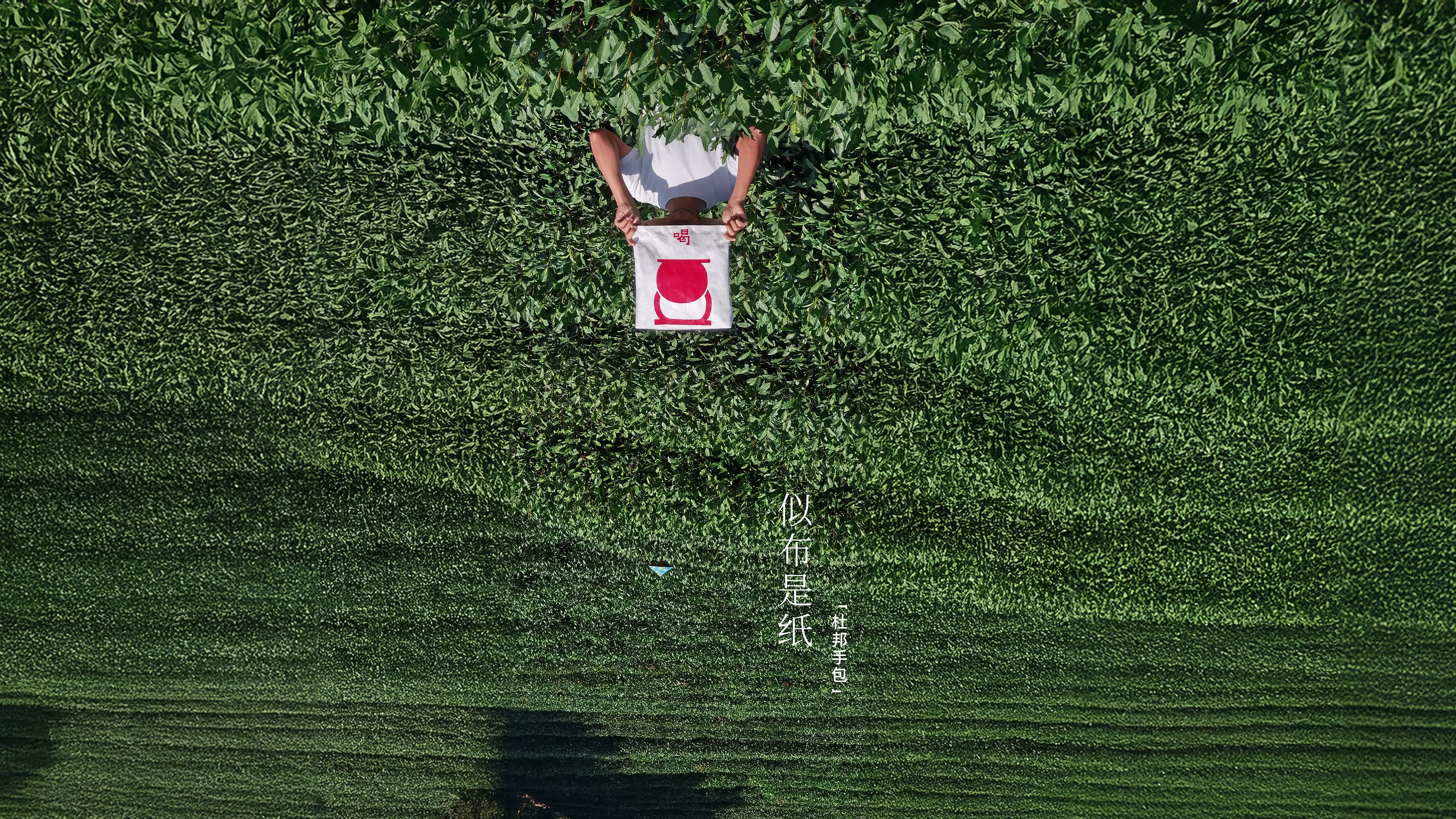 高山茶