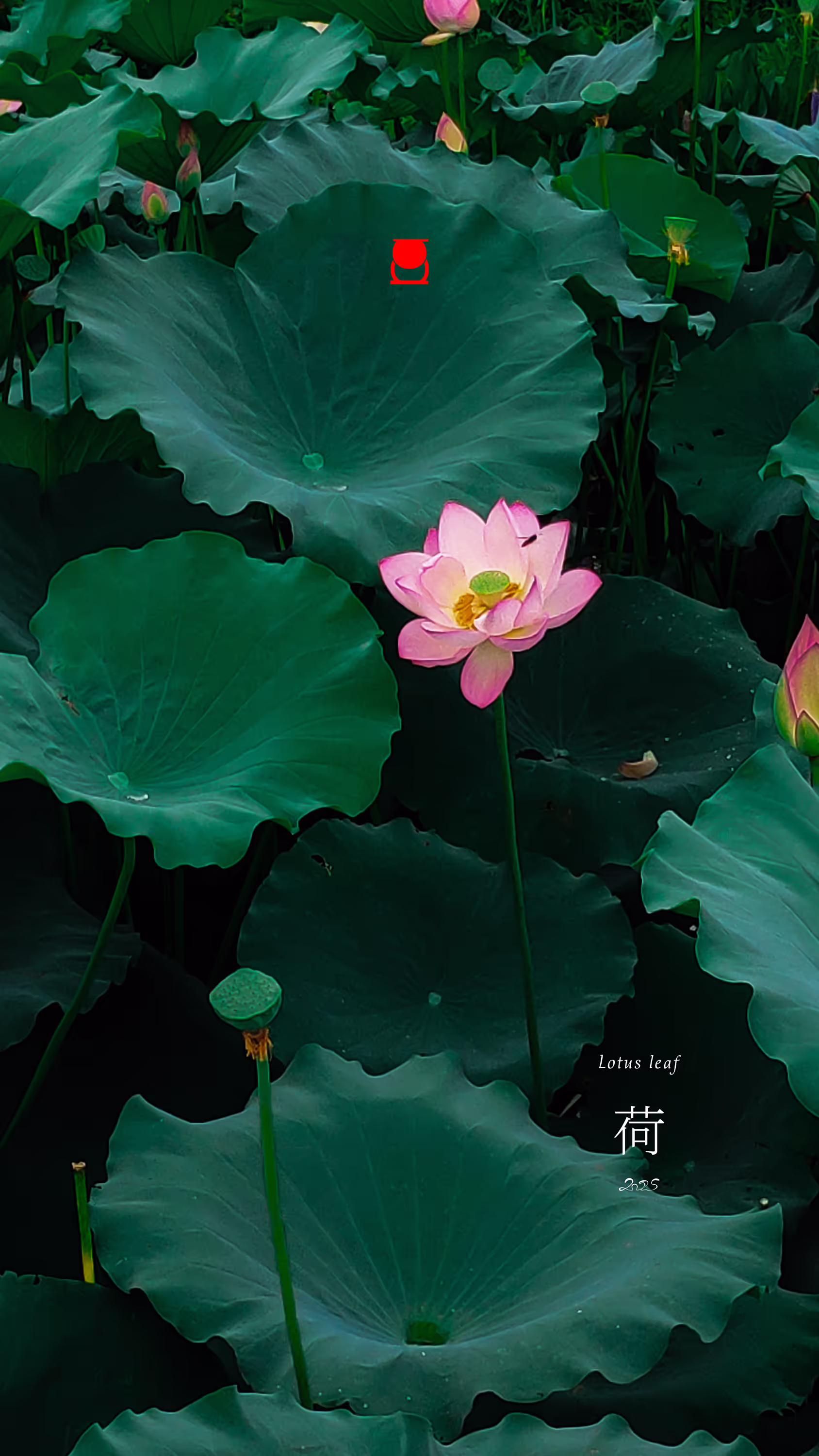 回复图片9
