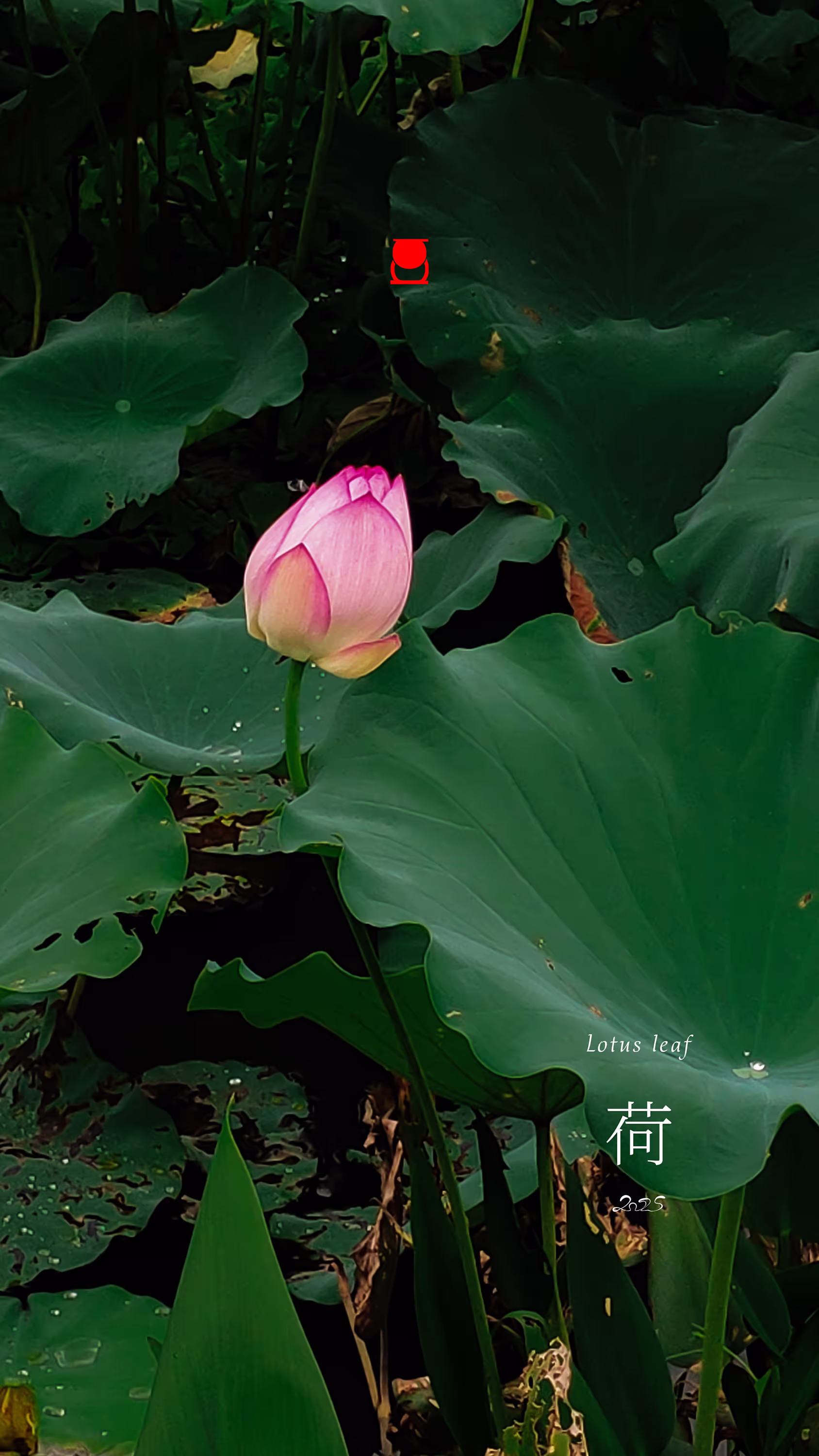 回复图片4