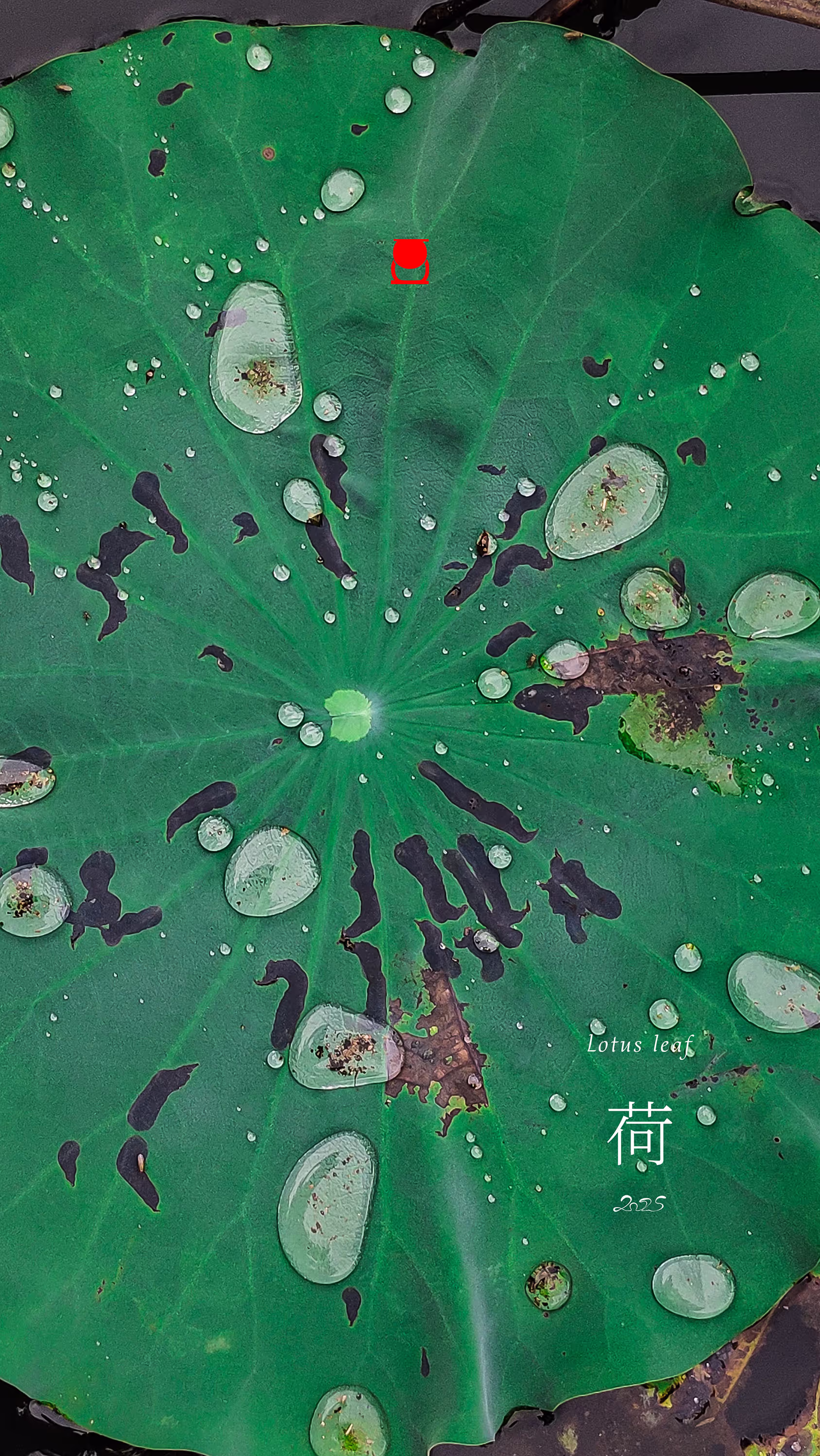 回复图片1