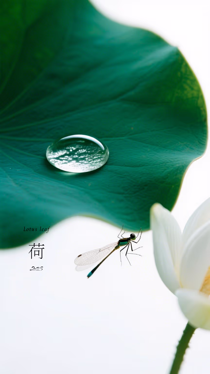 回复图片1