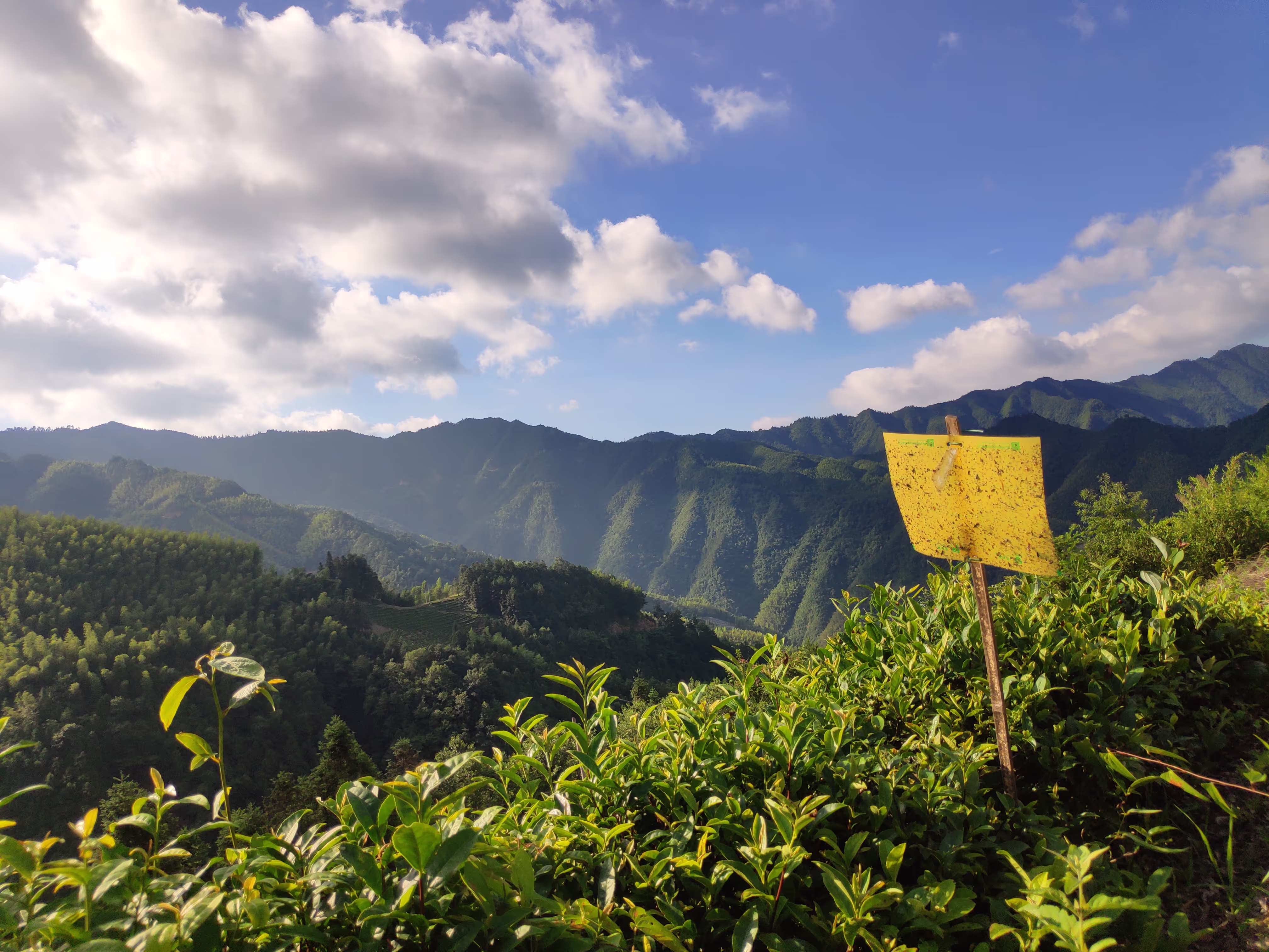 自然高山