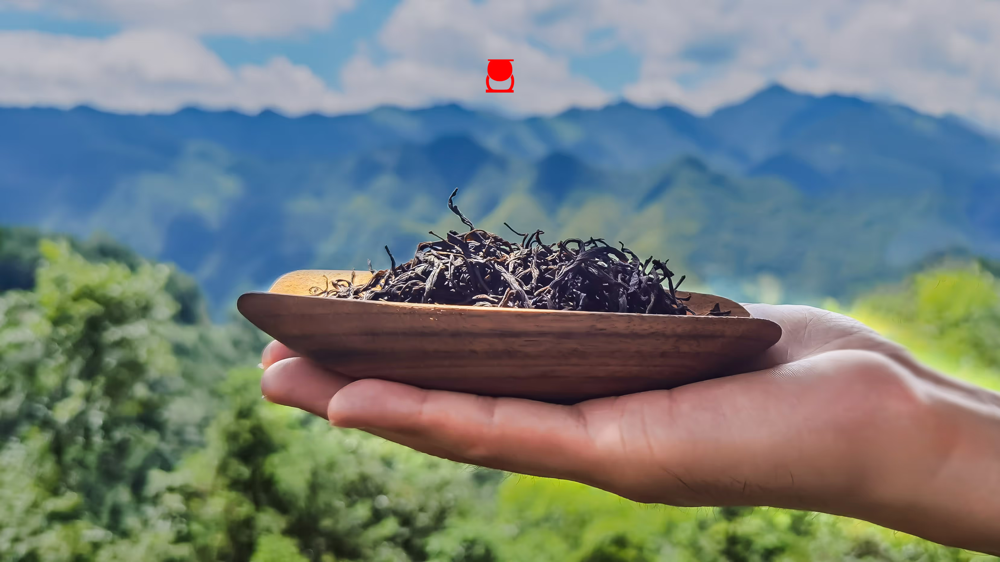 产品细节 3