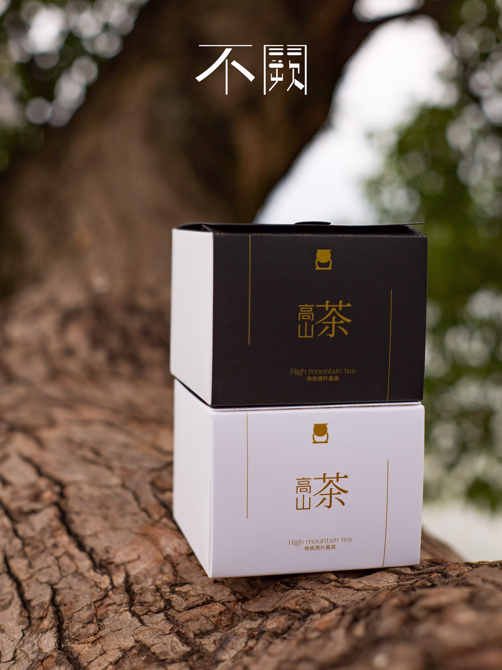 祁门红茶 - 视图 1