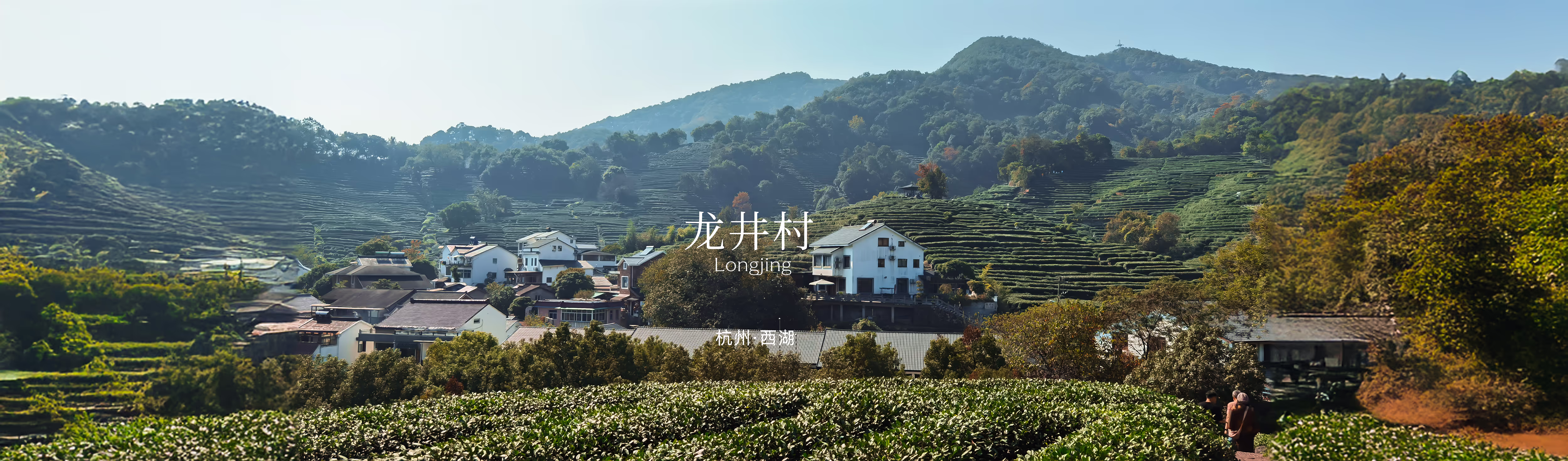 龙井村